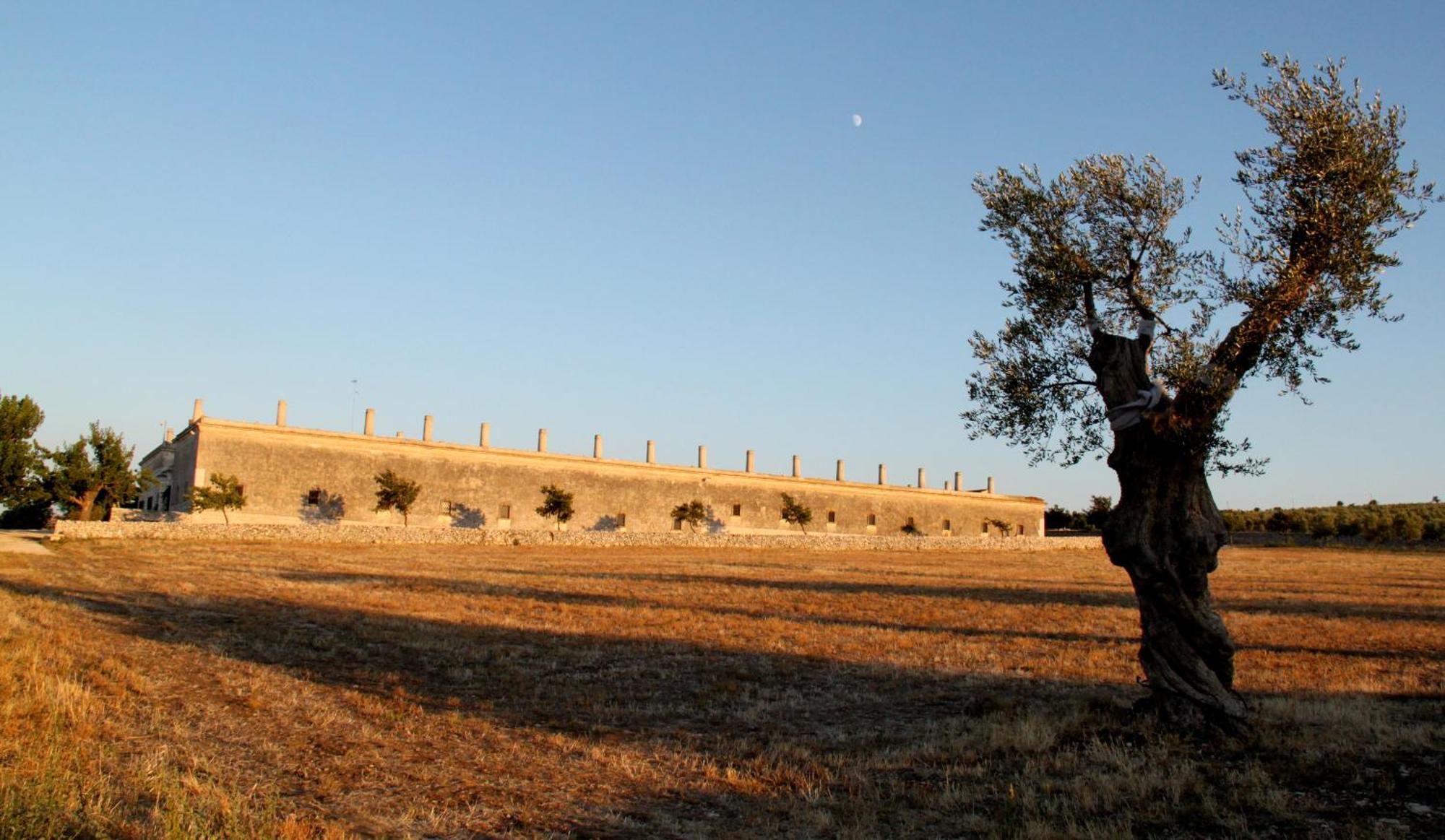 Lama Di Luna Biomasseria Montegrosso エクステリア 写真